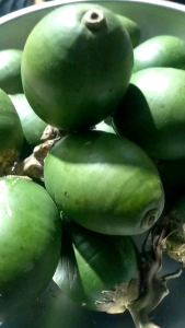 หมากอ่อนร่องน้ำ ตัดใหม่ทุกออเดอร์พร้อมส่ง1โล100