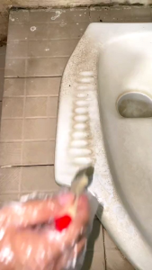 New Sonic Cleaner Cairan Pembersih Kerak Keramik Toilet Kloset Wastapel Porselan Stainlessteel