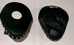 FOCUS MITTS TINJU GLOVES