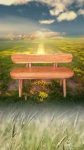 ม้านั่งสะเดาหลังพิง ทำมาจากไม้จริง ม้านั่งสนาม ไม้แผ่นเดียว ม้านั่งกลางแจ้ง ทนทาน แข็งแรง