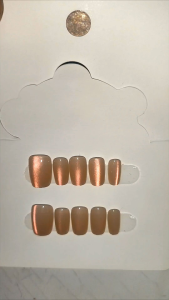 Fake Nails Premium Cat eye