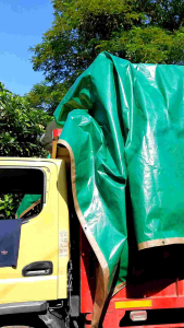 TERPAL PLASTIK UKURAN 2x2 2x3 2X4 2x5 2x6METER A20 KOREA SUPER TEBAL
