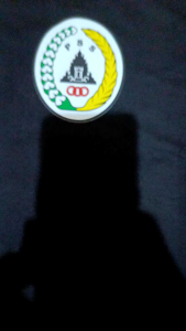T-SHIRT LOGO PSS SLEMAN