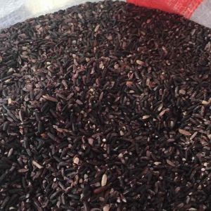 beras hitam premium priangan timur per kg