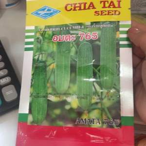 Hạt Giống Dưa Leo CHIA TAI 765 - Thái Lan Năng Suất Cao Hạt Giống Thực Vật Trang Nông Dưa Leo Cao Sản Cho 1000M2 Hạt Giống Dưa Leo Thời Gian Sử Dụng 2 Năm - Lazada