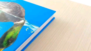 Pengenalan Buku DK Explanatorium of Nature: Keajaiban Dunia Terungkap