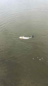 เหยื่อปลั๊กทรงเทพ12เซนดำตื้น