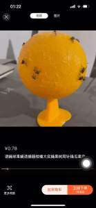 Fly trap ball fruit fly trap citrus fruit fly fruit tree with needle-point melon fruit fly trap yellow