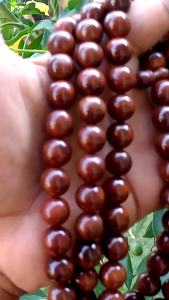 Tasbih kaokah kokah kokka ukuran 12 mm