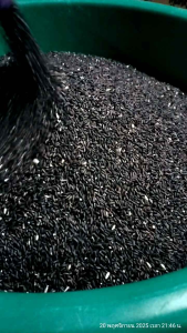 ข้าวเหนียวดำใหม่🌾🌾ตราเด็กหัวจุก_ข้าวใหม่หอมนุ่มอร่อย