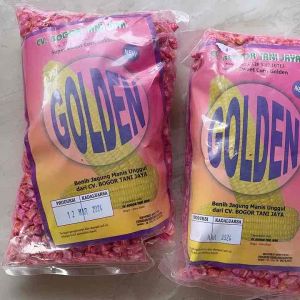 Benih Jagung bibit jagung  biji jagung Manis madu  premium Golden 500gr