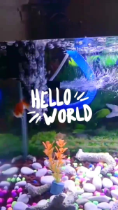 Alat Pemanas Aquarium Ikan Hias Rosston RSK Heater 50 Watt: Persediaan Hewan Peliharaan > Aksesori Hewan Peliharaan > Keperluan Akuarium > Akuarium & Mangkuk Ikan > Akuarium