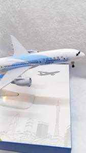 China Southern B787 Airplane with Landing Gear Diecast Aircraft Model Toy Collection for Aviation Enthusiasts