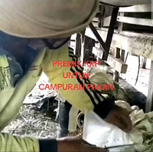 # Premix - Premix KRP - Premix sapi - Premix domba - Premix kambing.