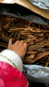 Nấm linh chi rừngnấm hồng chi vua thải độcmát ganhỗ trợ tiểu đường mỡ máu mỡ gan