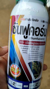 นิโกะ 500m นิโคซัลฟูรอน กำจัดหญ้า ในข้าวโพด กำจัดข้าวฟ่างผี หญ้าโขย่ง หญ้าปากควายาย หญ้าตี