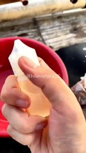 Essen pengumpul ikan mas jitu untuk babon dan rame cocok di semua medan