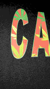 t-shirt blackwhite.inc // LGN