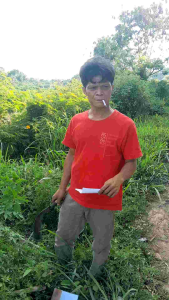 alat babat ilalang super tajam bazza superr