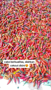 CABE RAWIT ORI FRESS