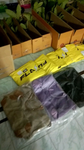 ต้นลำใยคริสตัลม้วงจัมโบ้ 55-65cm น้ำหนักลูก22-25ต่อกิโล