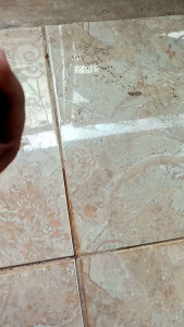 rought ati ayam antik