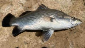 ชุดสายลอยกุ้งเป็น Byคนบ้า-ตกปลา