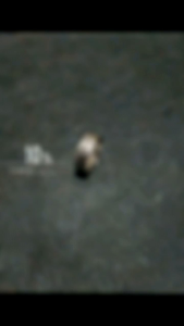 STACKABLE SILVER RING-CINCIN SALIB RETRO FASHION-PRIA WANITA-CJR TITANIUM