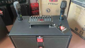 Ftstar FT-SK650 Bluetooth Professional Wireless Speaker: A Comprehensive Guide