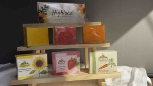 Sunflower Soap with AHA - Moisturising Barrier Support Exfoliation & Brightening