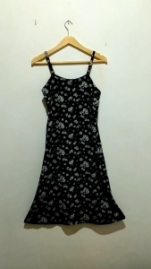 DRES MODIS Korea FLORA