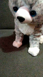 BONEKA KUCING CAT DOLL CUTE CANTIK DUDUK ABU MAINAN KARAKTER BINATANG EDUKASI ANAK ANGGORA PERSIA CUTE CANTIK BAHAN YELVO SET HADIAH ULTAH KADO COWOK CEWEK DEWASA DAN ANAK TERLARIS