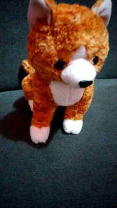 BONEKA KUCING CUTE CAT DOLL PERICAT DASI KARAKTER MAINAN ANAK KADO COWOK CEWEK DEWASA DAN ANAK CUTE CANTIK ANGGORA PERSIA SIZE L SEDANG SET HADIAH MAINAN