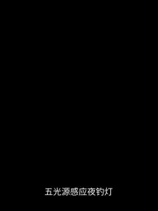 Đèn Pin Soi Phao Câu Cá ban đêm_4 màu 3 chế độ màu dịu mắt sáng sử dụng tiện lợi gọn nhẹ mang theo