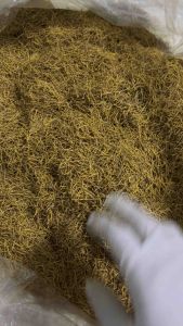 เกษรบัว เกรด AAA กับ เกรด AAA เกษรบัวอบแห้ง เกษรบัวแห้ง