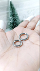 จิวห่วงไร้รอยต่อ(Segment ring ) หนา 2 และ 3 mm(ราคา 1 ข้าง)(stainless steel316l)