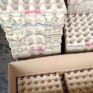Egg tray usedtelor sarang terbakai二手鸡蛋托(100pcs free 5pcs)