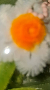 พวงกุญแจดอกเดซี่ ลวดกำมะหยี่ DIY เลือกสีได้