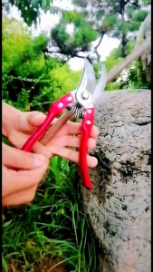 SK5 Garden Shear Garden Scissor Hand Cutting Pruning Tool Gunting Pokok