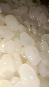 Kolang Kaling Segar 250 Gram: Manfaat & Tips Penggunaan