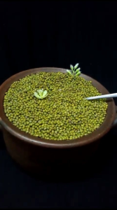 Kacang Hijau Fresh: Manfaat dan Cara Menggunakannya untuk Diet