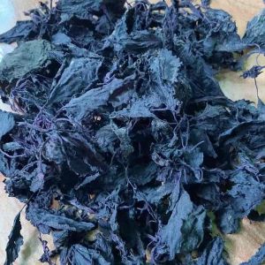 Daun Miyana Kering 100 Gram: Produk Alami Untuk Kesehatan