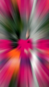 Atasan Olahraga Wanita Kaos Olahraga Lari Gym Fitness Olahraga Sport Women Running Wanita