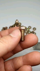 (paket 50 set) baut 10 (6mm) x 15cm + mur