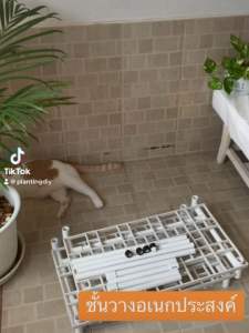 ชั้นวางต้นไม้ ชั้นปลูกผัก ชั้นวางของอเนก ประสงค์ สีขาว ไม่เป็นสนิม น้ำหนักเบา, นอกจากนี้ยังมีคลิกที่วัดความน้ำหนักของชั้น ตามความต้องการ ความหนึ่งในการเลือกชั้นวางที่เ