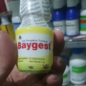 ZPT Baygest 35ml | Zat pengatur tumbuh tanaman