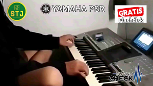Data Yamaha PSR Style Dangdut Koplo Remix Rampak Pop Qasidah DLL