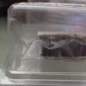 HINO ลูกสูบ ลูกสูบหม้อลมเบรค HINO ทั่วไป โต 19 mm. 204-12101