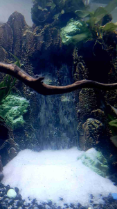 aquarium aquascape tebing air terjun tinggi 20cm