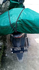 Tali Karet Pengikat Barang Buat Di Motor Elastis Panjang 120cm 1.2 Meter Serbaguna Bagasi Mobil MS
